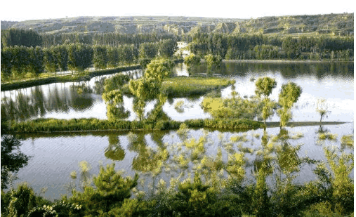 沙漠被中国感动天然形成6000亩湖泊助力治沙,自然的馈赠