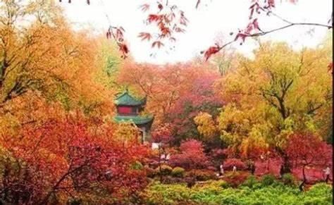 十月出门赏秋去！中国最美的8个秋景圣地全在这了