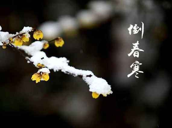 19年春分具体时间，“春分无雨是空年”啥意思，春分后还冷吗