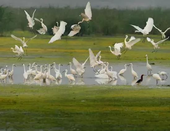 河北竟藏着22个国家级“梦里水乡”！快看有你家乡的吗？