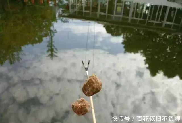  『些钓友』打窝的4种错误方式，鱼口少上鱼慢，中了的钓友赶紧改
