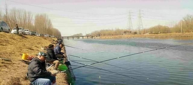  『钓友』春季钓鲫鱼怎么选择位置呢？钓浅还是钓深呢，看老钓友都是怎么做