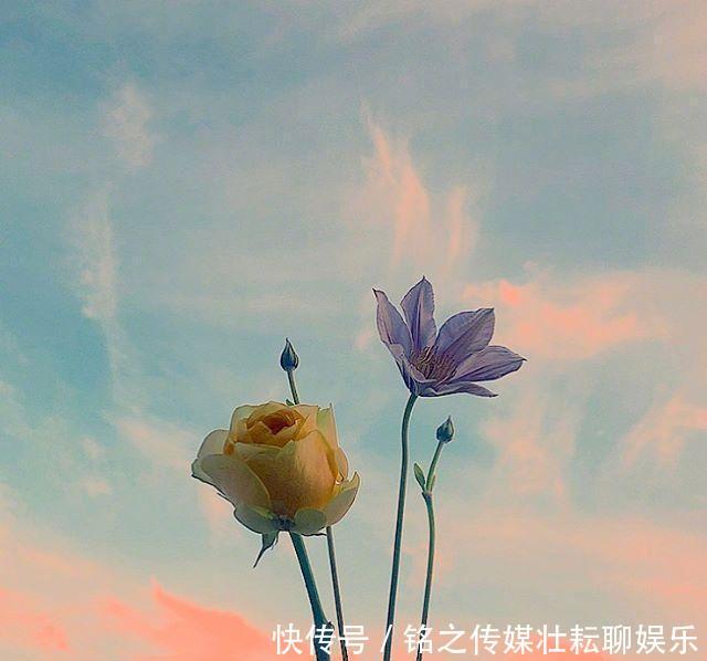  #好运#「晚安」再等等，花都开好了，你的好运也快来了