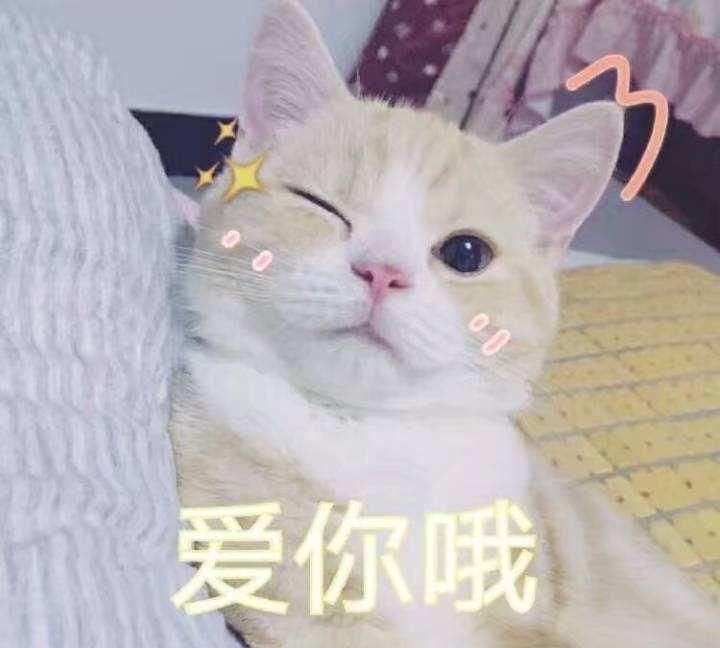  #记得#深圳周末又要变天！强雷暴+9级大风即将到货，记得收好衣服关好窗！