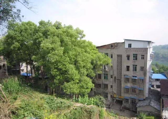 四川这座兵工厂，辉煌至极，警卫森严，完成中央一号绝密任务