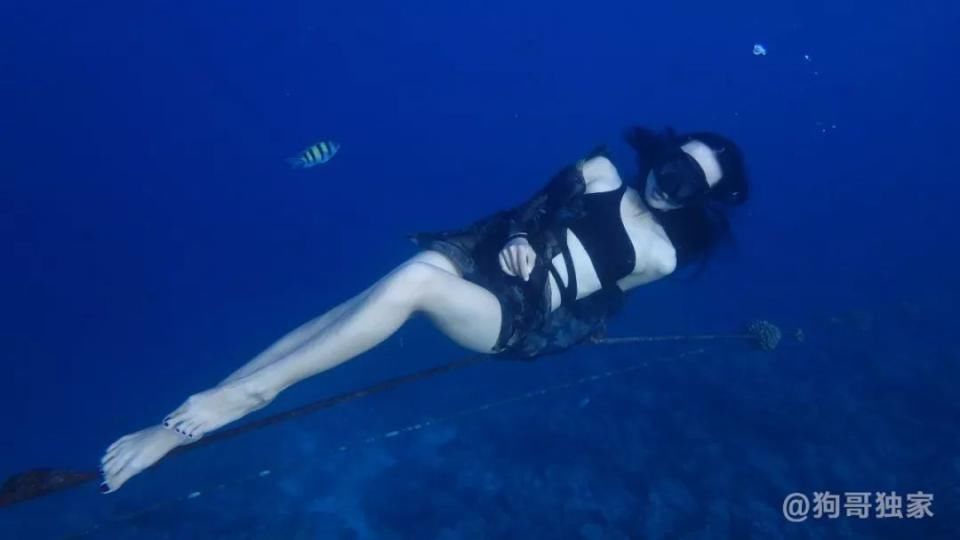 美腿诱惑丨全是大长腿腿腿腿腿腿腿