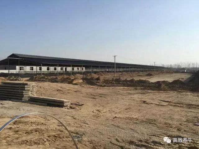 养50头牛——标准化牛舍是这样建设的！