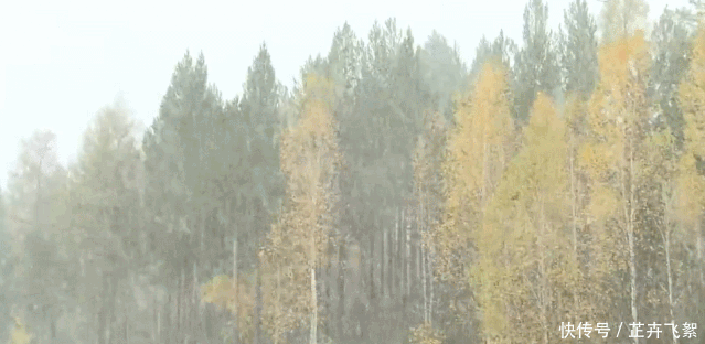  「台风」下雪了？！下半年影响范围最广冷空气将来袭，杭州气温