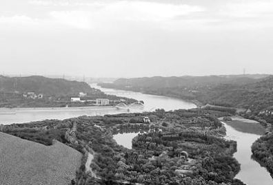 不断流的黄河，回来了