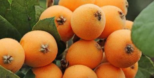 可可苏海:新疆阿尔泰山间的梦幻仙境,如一个蔚蓝色的梦