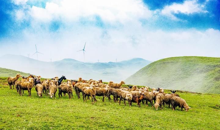 重庆超41度热爆，贵州这座城市26度已是高温，空调都卖不出去!