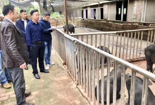  【农民】农村种地的走了，养殖的也少了，为啥会这样？听听老农