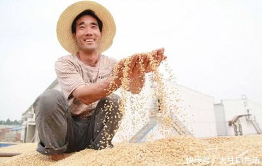  耕地：一瓶水比一斤粮贵，60后种不动90后不会种，提高粮价有用
