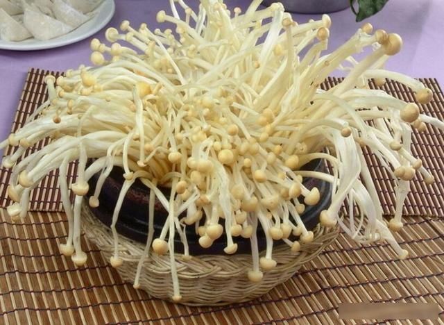  『根部』金针菇的根部切掉了，直接丢掉太浪费，稍作处理金针菇吃不完