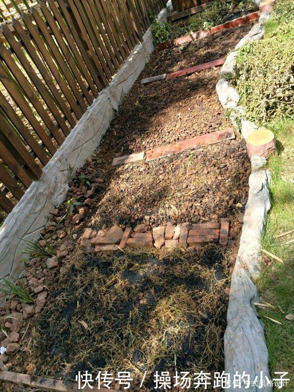  「李小姐还」她将荒芜的后院，改造成最美花园，完工一年后，让人惊艳