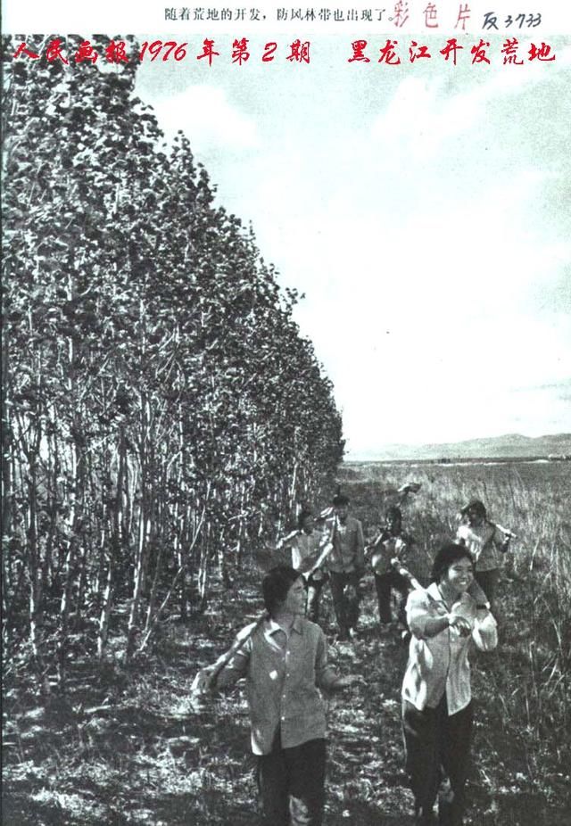 毛泽东时代《人民画报》，社会主义的建设者身影