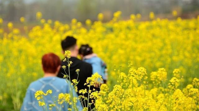  gdp@陕西人口接近60万的大县 撤县立市又升区 GDP287亿元