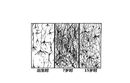  『时段』5岁是孩子脑部发育的高峰时段，父母搞好这3点，打开孩子间的差别