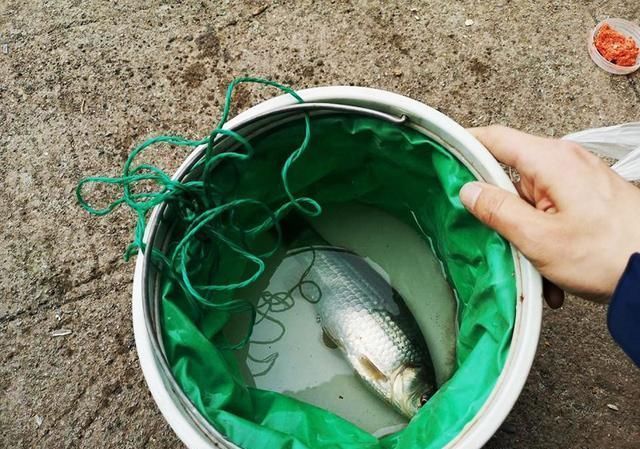  钓好：春季钓鱼，参考这5条实战经验，钓好鱼就是这么容易