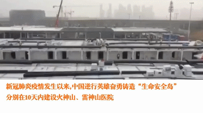  「新冠肺炎疫」【“数”说疫情】外国人眼中的中国战疫