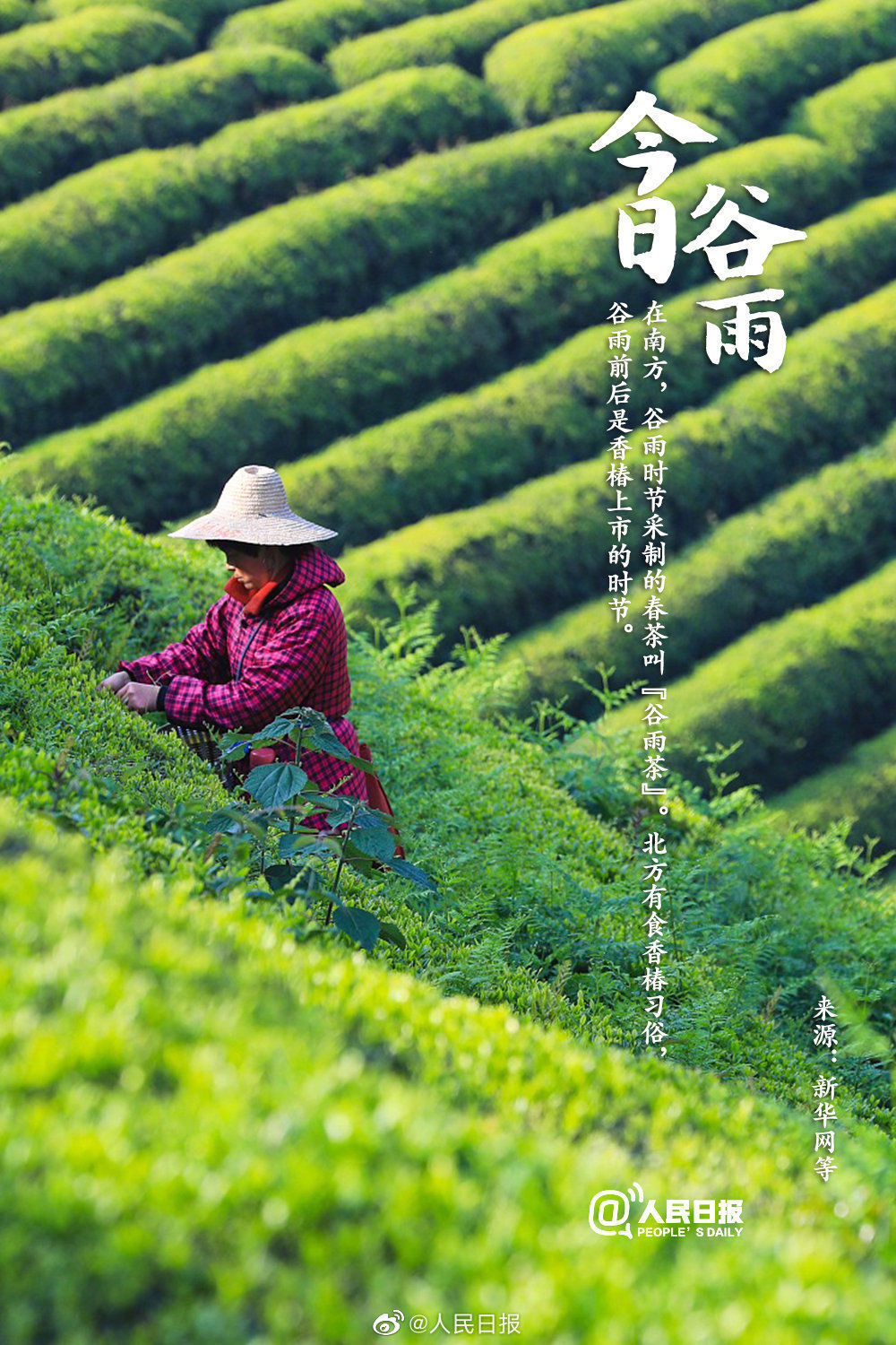  迎接@今日谷雨，你准备好迎接夏天了吗？