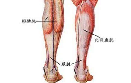 女性好身材的标准是什么？5个数字告诉你！