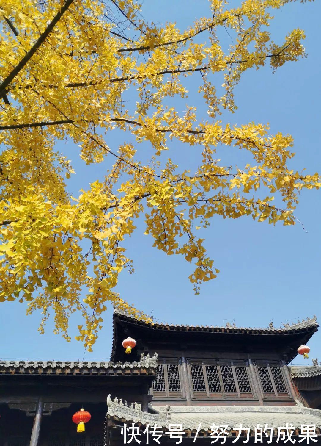 深秋的离开,初冬的到来,你好!台儿庄古城!