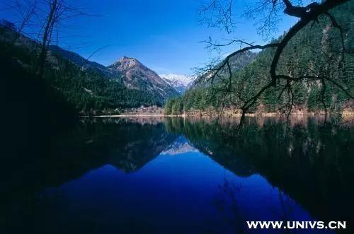 寒假去哪里旅游，你想好了吗