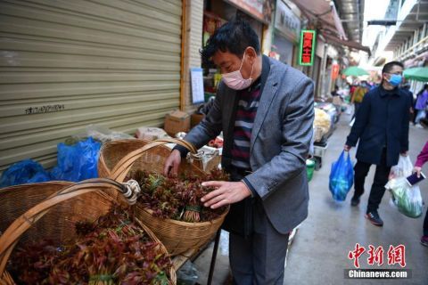  【新鲜上市的各种山茅】“春”到昆明菜市场 山茅野菜惹人爱