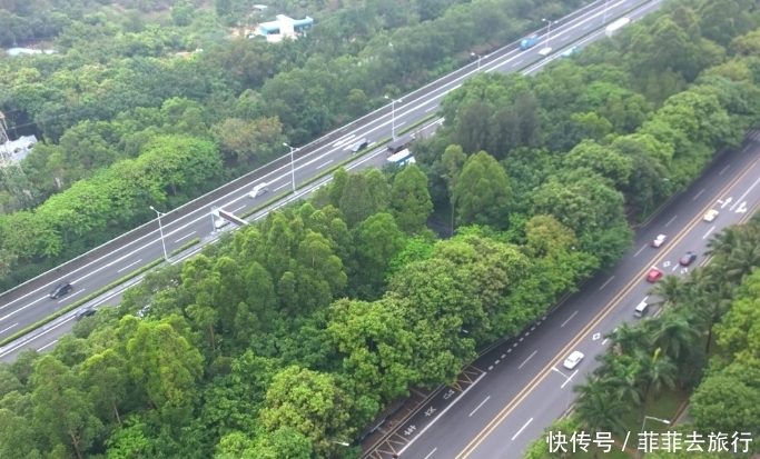 中国最“吸金”的高速公路，投资7亿，1年就回本，赚了20亿！