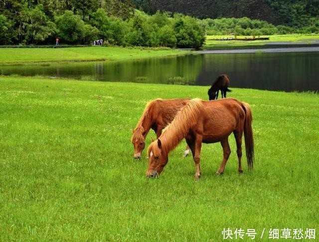 云南最“机智”县城，因一部小说改名，现已成世界知名旅游景点