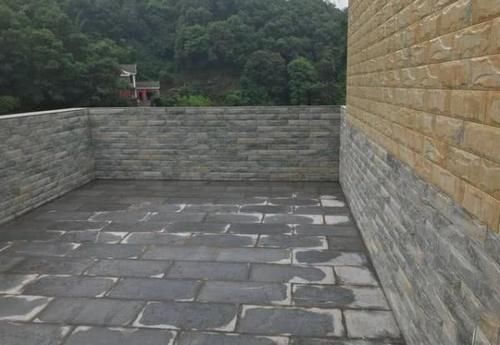  [漂亮]别再说农村脏了！晒晒我家房子，非常漂亮，村民都羡慕我