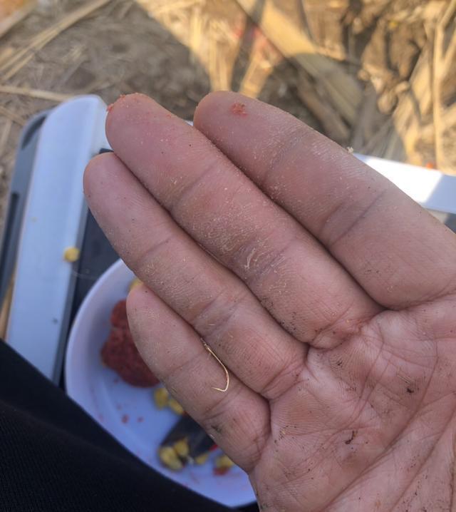  [来了一辆]网工与电工之战！解我心头之恨