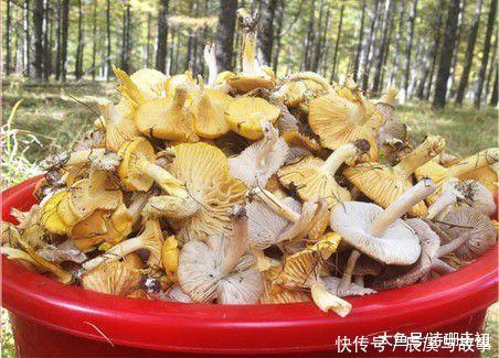 『心脏』心脏不好的人,多吃“2黄”,心脏会越来越好