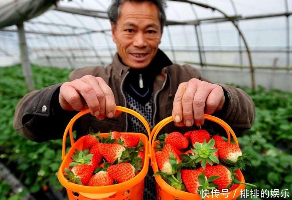 农村创业有前景的五个行业，农民都能做，一年收入10万不是问题