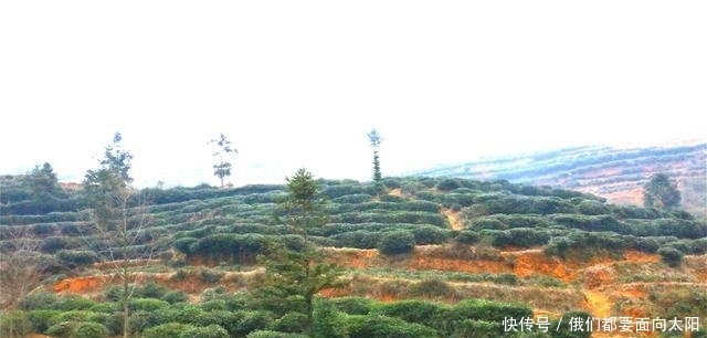  潜力■贵州最具潜力的县城，不仅拥有3个高铁站，而且还将建机场