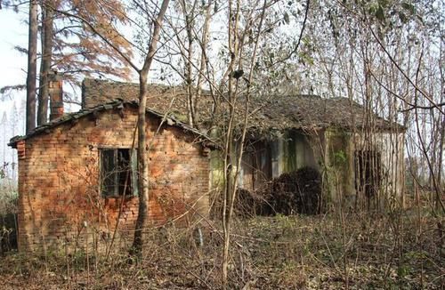 农村宅基地建房又出新规！这是为什么呢？村干部告诉你答案