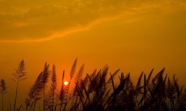 李子柒家乡绵阳风情