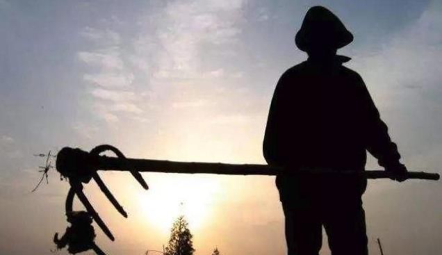  务工收入|未来5年农民增加收入的主要方法是什么？