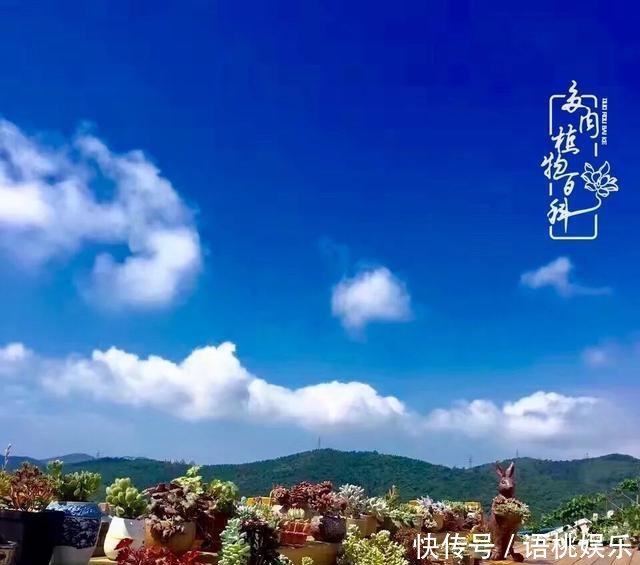  #喜欢#一粥一饭填饱肚子，一屋一花神仙日子！生命不止，玩趣不停！