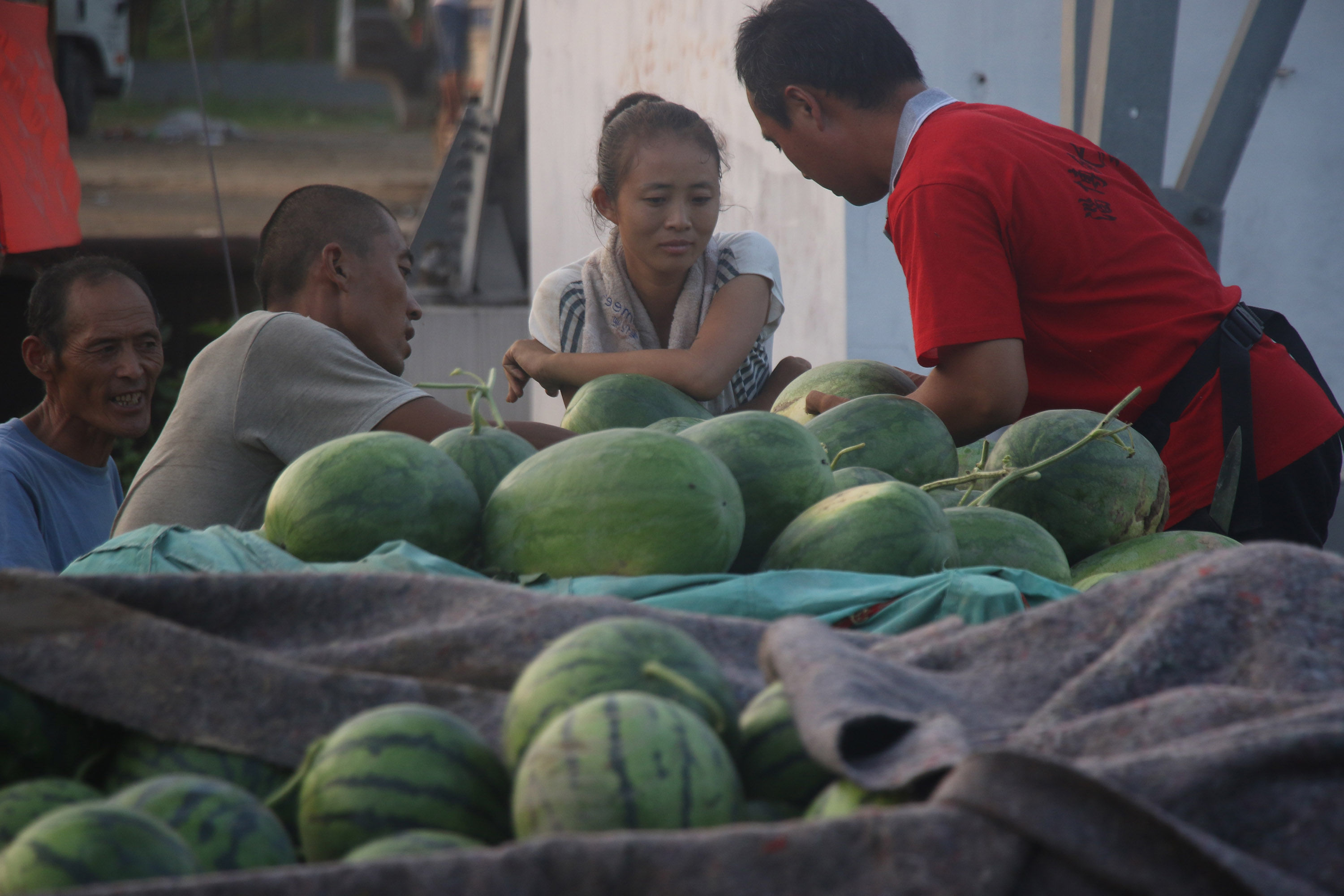 万斤西瓜多卖800元只因一招，农村美女大姐开心数钱