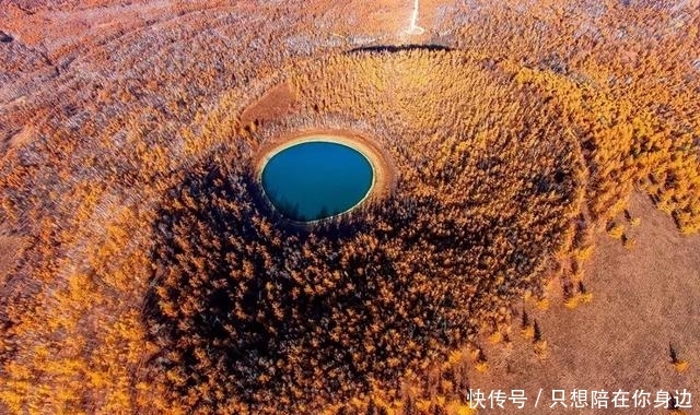 呼伦贝尔的秋天，美的太高级