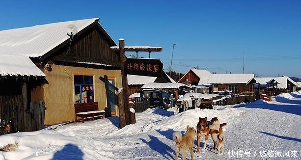 中国的最北端——漠河,常年寒冷如冬,夏季只有半个月左右啊