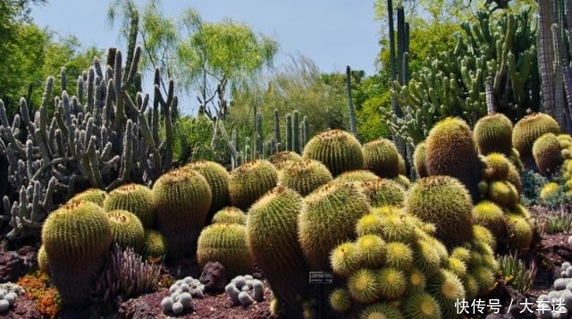 全球首个对中国免签的国家，风景优美，国人为何不愿意去