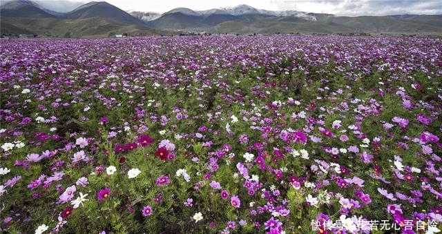 无门票,景色美爆!川西甘孜潜藏着太多不为人知的小众绝美地