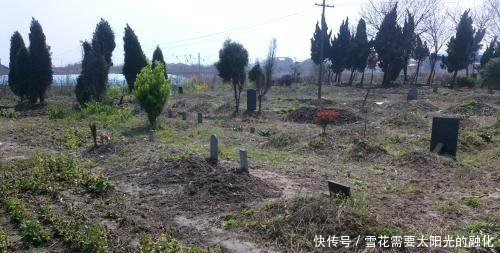 今年农村殡葬将迎来重大变革，乱坟岗要被清理了！