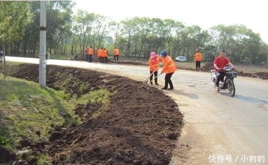  「村村」村村通却成“村村痛”, 为啥路不修宽点? 专家的解释让