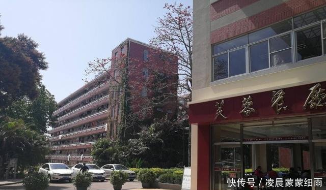 旅游厦门大学，食堂却坐满大爷大妈，网友学生该不该出借饭卡