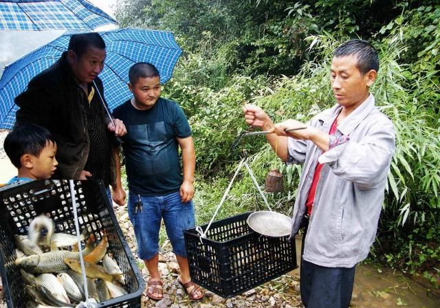  发家致富■30年前田里随便抓，如今40块钱1斤成抢手货，农民靠它