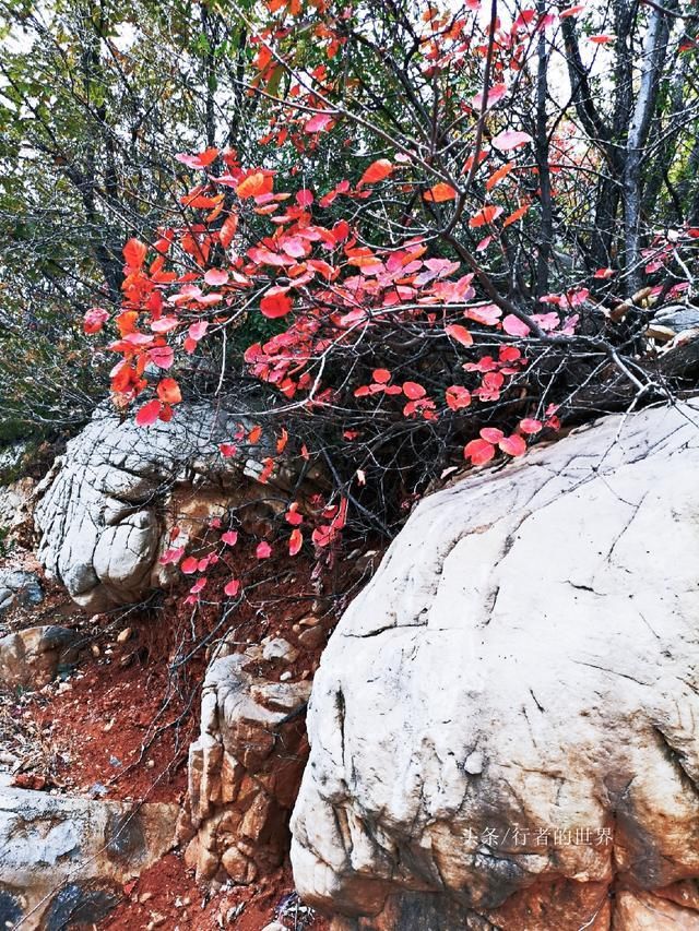 郑州巩义有条最美自驾公路，山路弯弯风光美，红叶奇石禅意浓